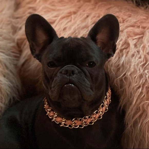 Meet your Posher, Michelle - Picture 5 of 6